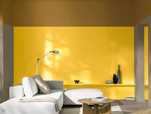 The Ultimate Guide to Waterproofing Paint in Sri Lanka: Protecting Your Property from Water Damage