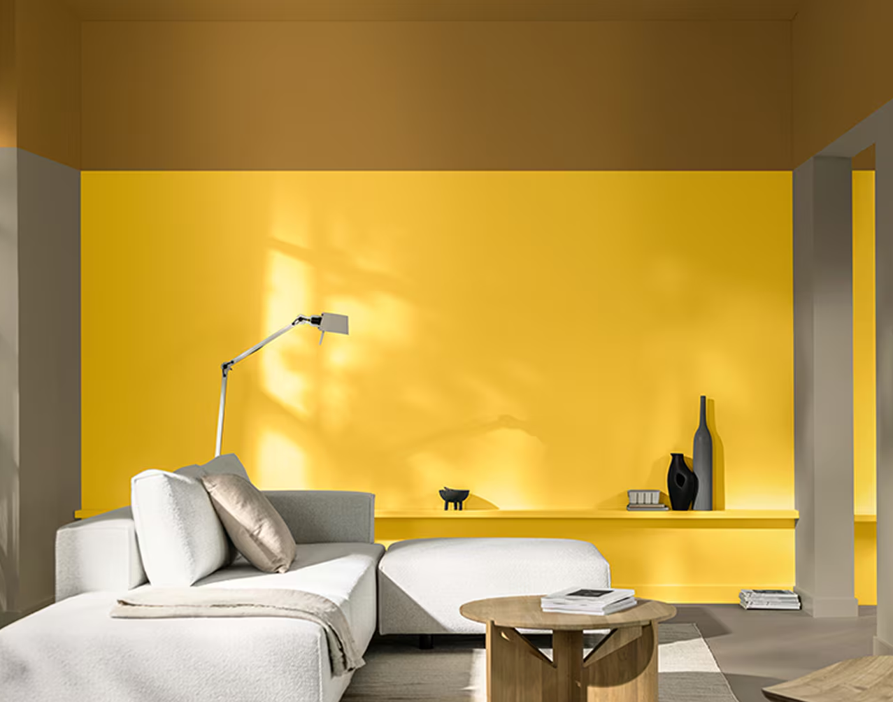 The Ultimate Guide to Waterproofing Paint in Sri Lanka: Protecting Your Property from Water Damage